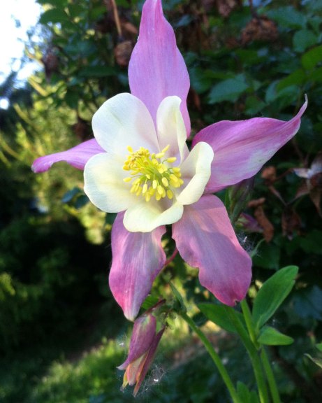 columbine050214