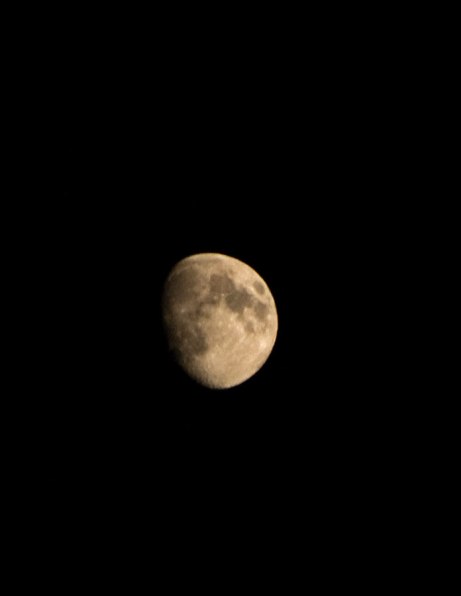 moon100414